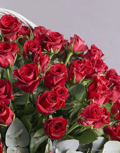 Royal Romance: 100 Red Roses in a Basket