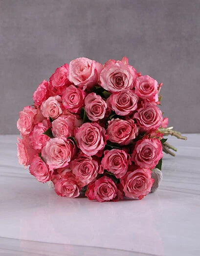 Crimson Bloom Collection
